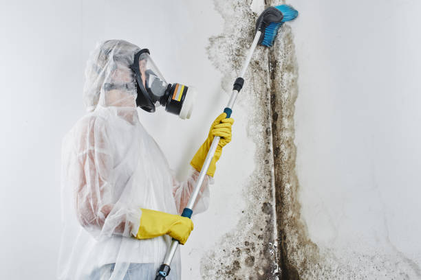 Water Damage Restoration in Brackettville, TX